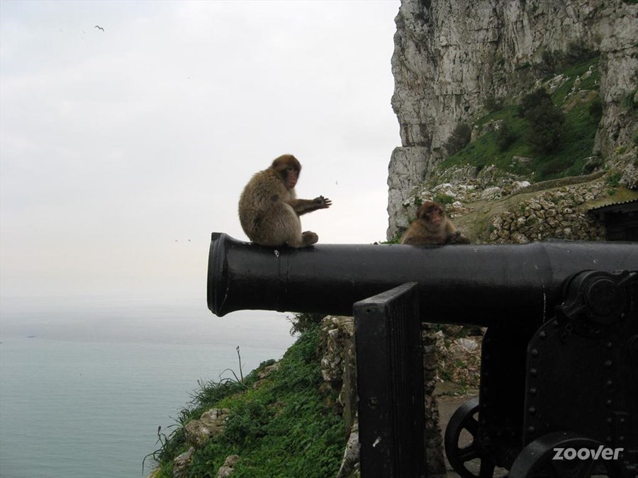 Gibraltar